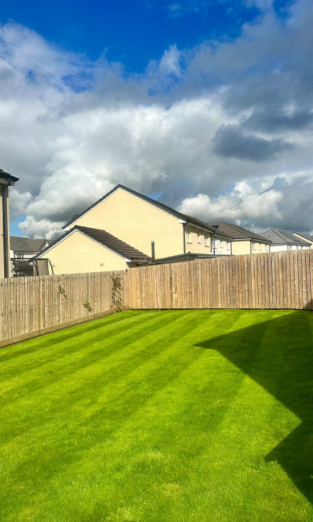 A lovely striped mowed grass garden with wooden fences at the back