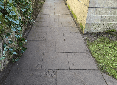 A image of a very clean garden concrete path