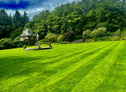 This is an image of a nicely trimmed back garden