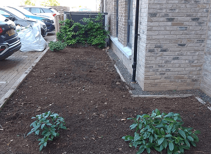 This is an image of ground earth been dug up and ploughed and some lovely new plants growing out of it neat and tidy